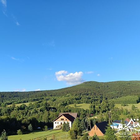 Pensjonat Zielone Wzgorze W Boleslawowie Stronie Śląskie Buitenkant foto